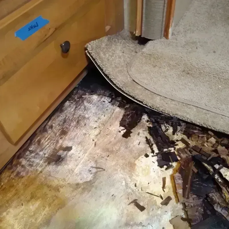 Best Wood Floor Water Damage Service in Robbins, IL